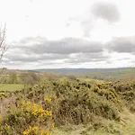 Bramblewood Feriehus