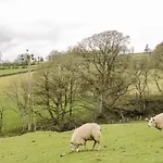 Bramblewood * Crookdake