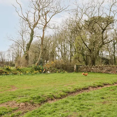 Bramblewood Crookdake