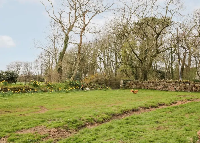 Bramblewood Crookdake