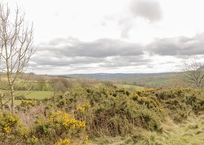 Bramblewood Dom wakacyjny