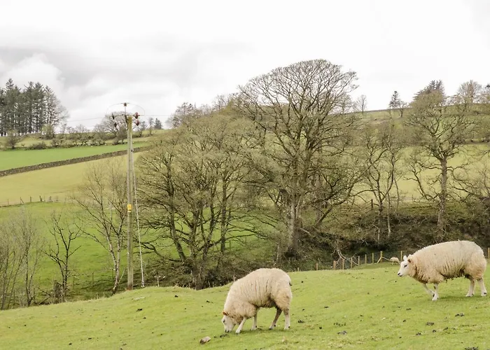 Bramblewood * Crookdake